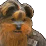 bbFaint