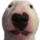 hesleg