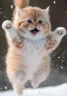 yaaay