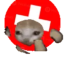 swissrun