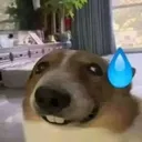 dumbuhhh dumbuhhh