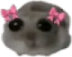 sadHamster