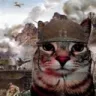 war