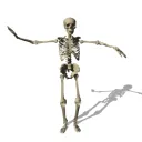 skull_dancing
