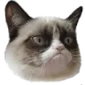 grumpycat