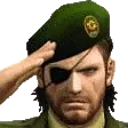 salute