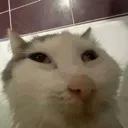 __