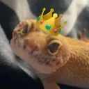 queenquavo