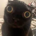 00 00