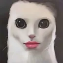 STARE