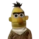 bert