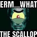 scallop