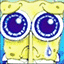 spongesad
