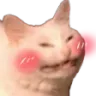 happicat