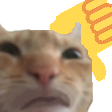 tumbsdowncat Discord emoji