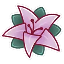 MagnoliaDDV