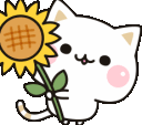 sunflower_cat