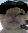 kimjongcat