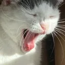 RAHHH