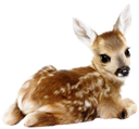 deer Discord emoji