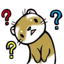 DD_FerretConfused
