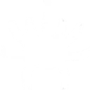 0045202
