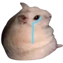 cri