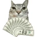 moneyspreadcat
