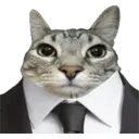 businesscat