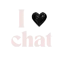 chat