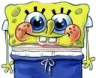 spongehappy spongehappy