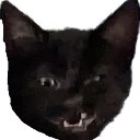 ddx