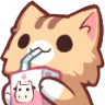 catsip
