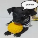 porr