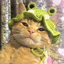 catfrog Discord emoji