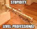 stupiditylevelprofessional