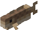 bed_Y_fish