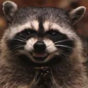 raccoonsmirk