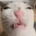 disgust