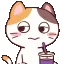 cat_sip cat_sip