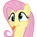 FlutterSilly