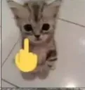 fuckyou fuckyou