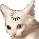 thinkcat
