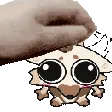 1MochaPet