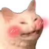 hihihihi