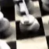 chessboard