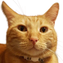 Calvin Discord emoji