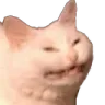 ehh