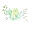 2Q__4removebgpreview