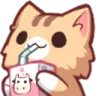 catsip